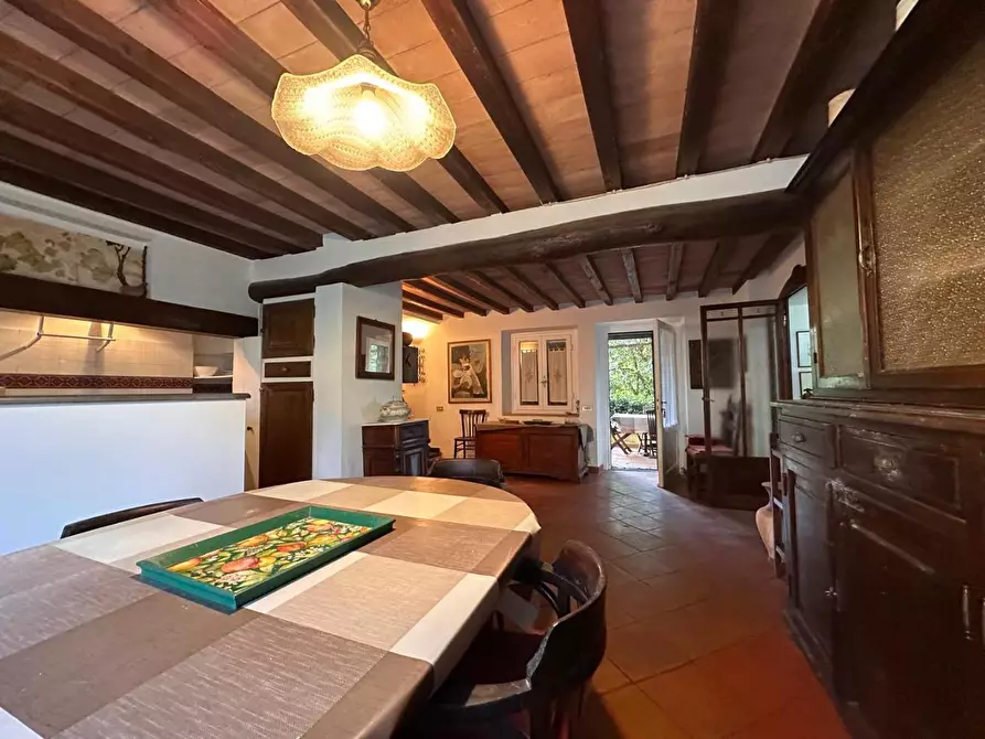 Immagine 9 di Casa colonica in vendita  a Crespina Lorenzana