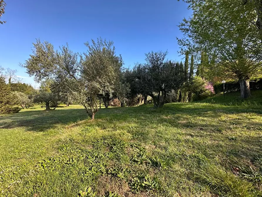 Immagine 54 di Casa colonica in vendita  a Crespina Lorenzana