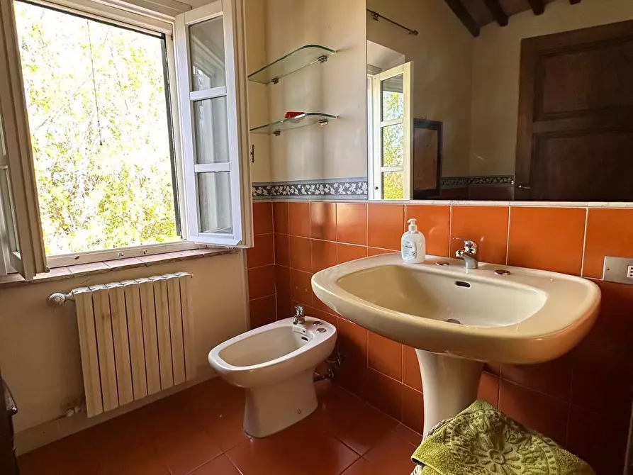 Immagine 31 di Casa colonica in vendita  a Crespina Lorenzana