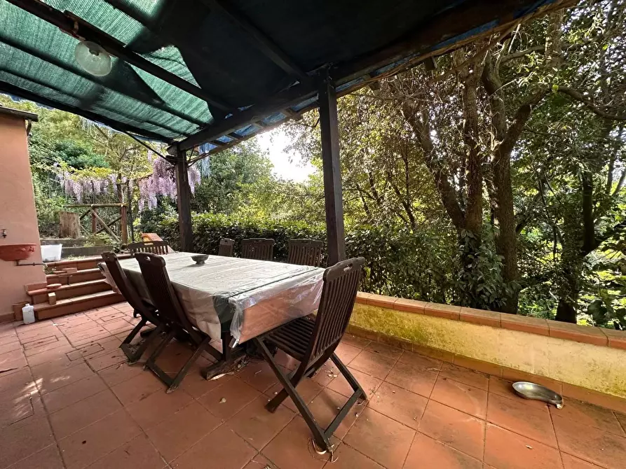 Immagine 36 di Casa colonica in vendita  a Crespina Lorenzana