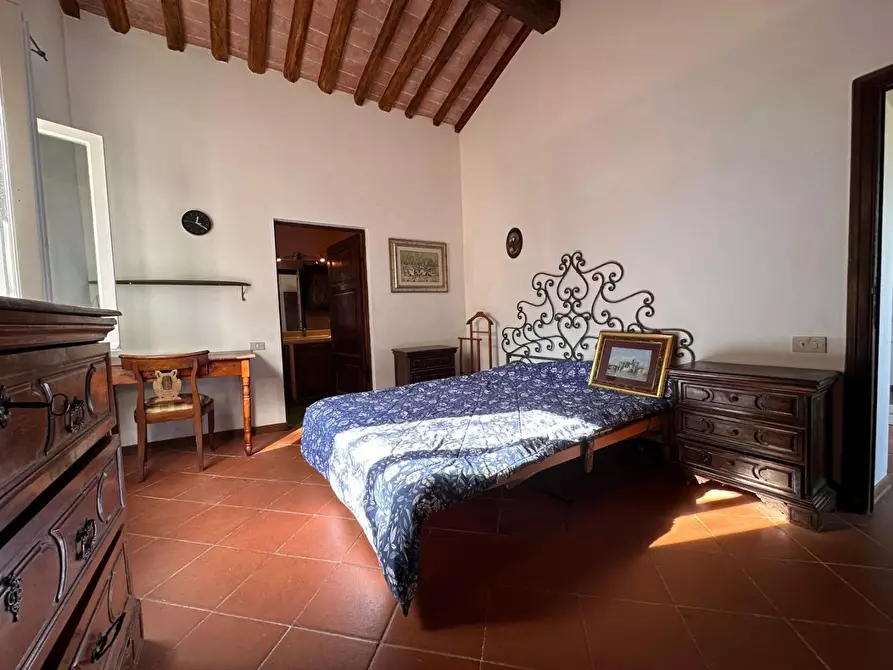 Immagine 22 di Casa colonica in vendita  a Crespina Lorenzana