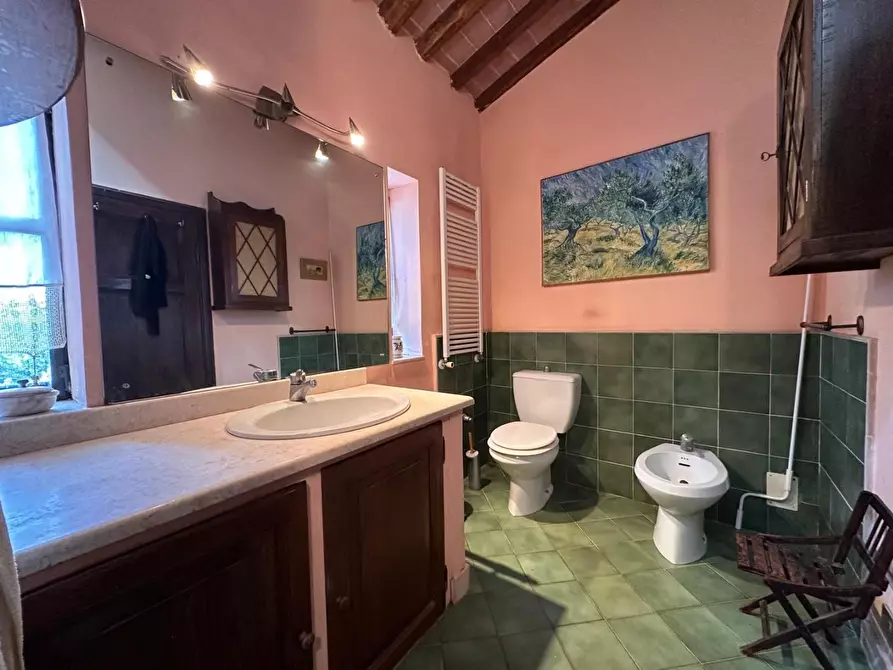 Immagine 27 di Casa colonica in vendita  a Crespina Lorenzana