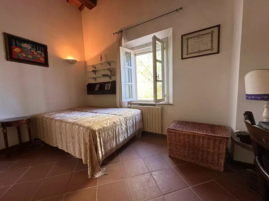 Immagine 30 di Casa colonica in vendita  a Crespina Lorenzana