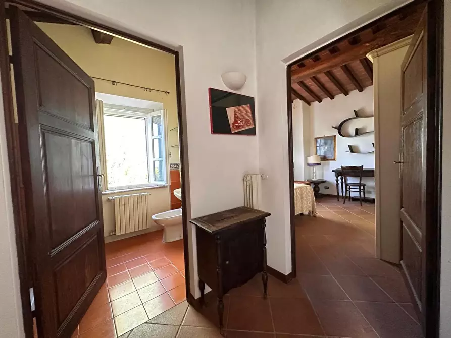Immagine 33 di Casa colonica in vendita  a Crespina Lorenzana