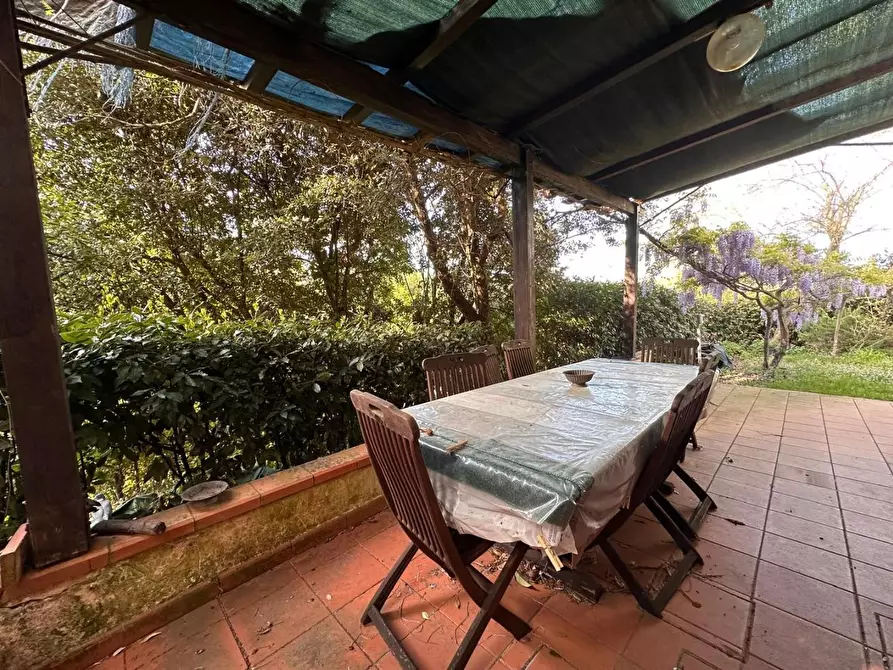 Immagine 37 di Casa colonica in vendita  a Crespina Lorenzana