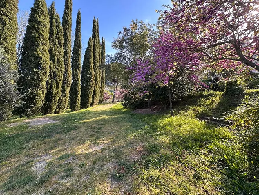 Immagine 57 di Casa colonica in vendita  a Crespina Lorenzana