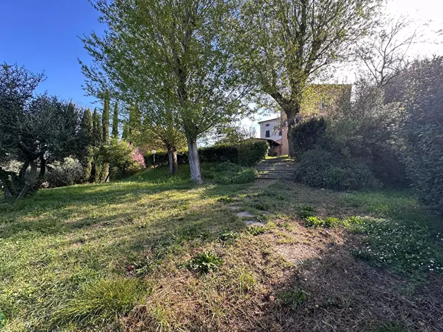 Immagine 52 di Casa colonica in vendita  a Crespina Lorenzana