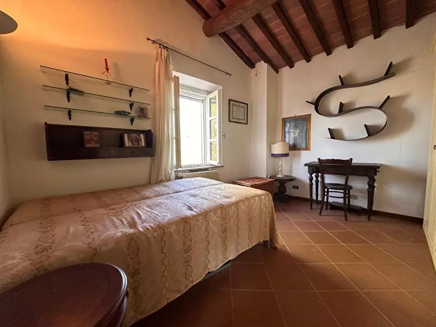 Immagine 28 di Casa colonica in vendita  a Crespina Lorenzana