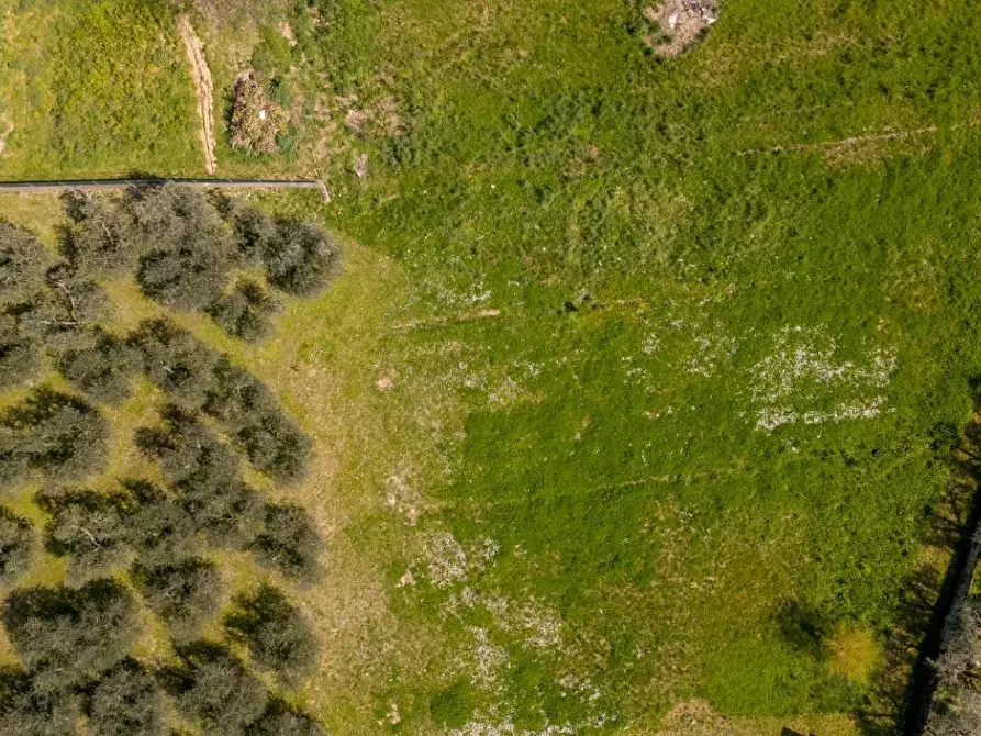 Immagine 20 di Casa indipendente in vendita  a Capannoli
