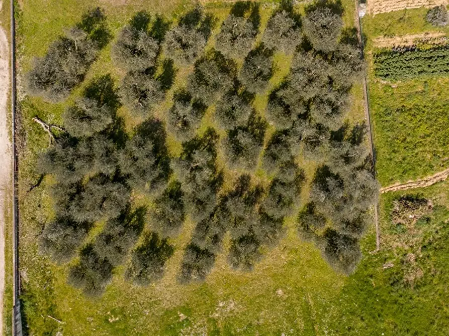 Immagine 16 di Casa indipendente in vendita  a Capannoli