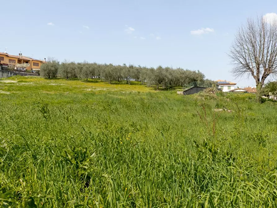 Immagine 7 di Casa indipendente in vendita  a Capannoli