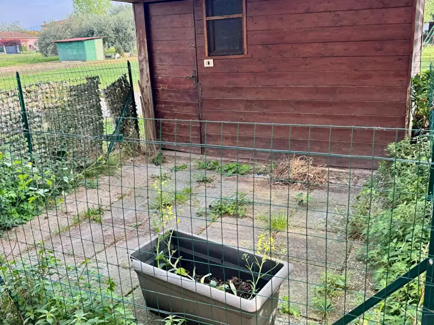 Immagine 28 di Terratetto in vendita  a Capannori