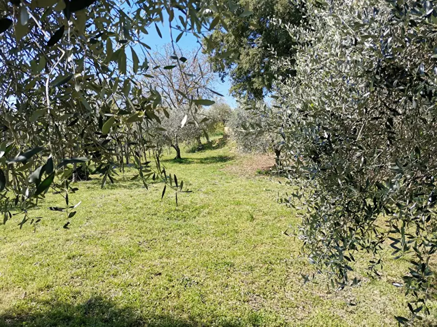 Immagine 1 di Casa bifamiliare in vendita  a Colle Di Val D'elsa