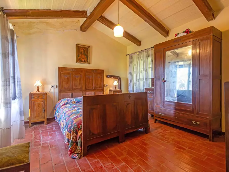 Immagine 12 di Rustico / casale in vendita  a Buti