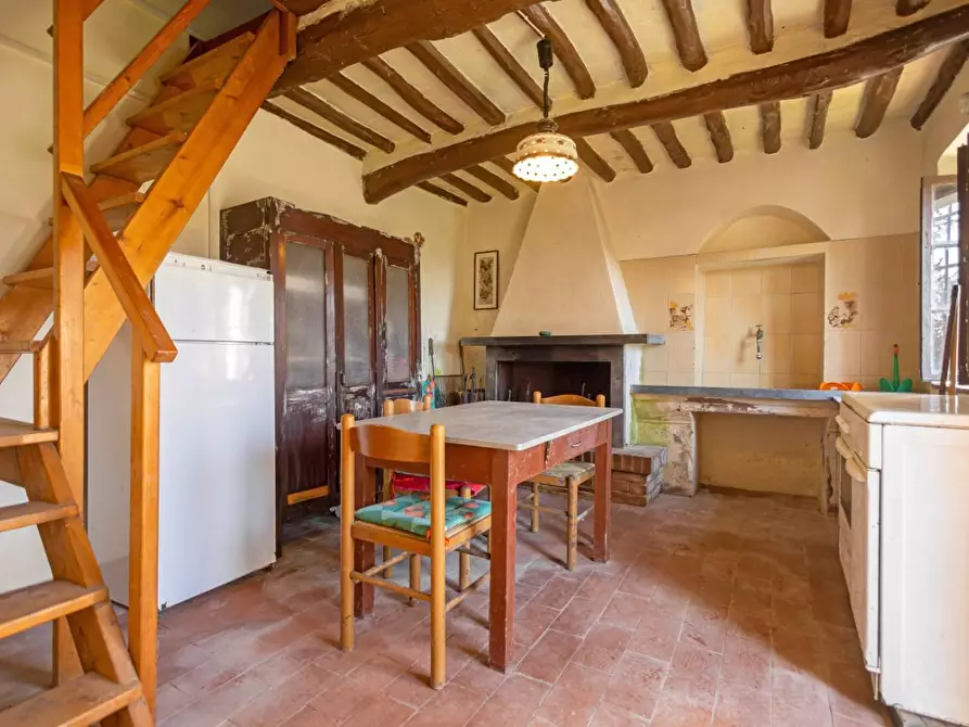 Immagine 4 di Rustico / casale in vendita  a Buti