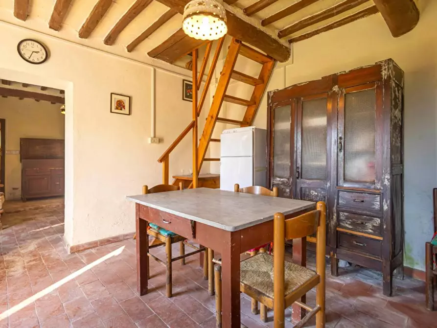 Immagine 5 di Rustico / casale in vendita  a Buti