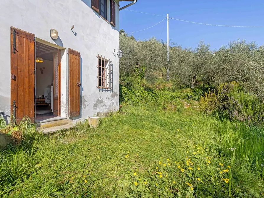 Immagine 18 di Rustico / casale in vendita  a Buti
