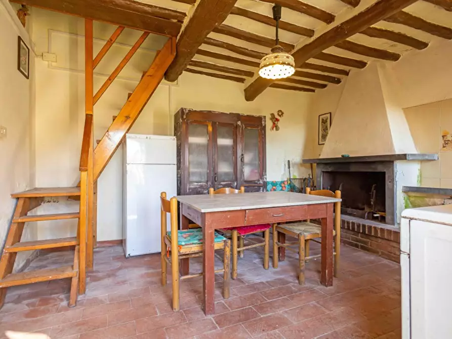 Immagine 3 di Rustico / casale in vendita  a Buti