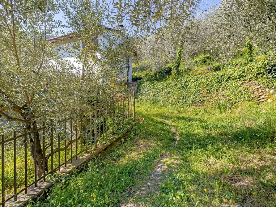 Immagine 19 di Rustico / casale in vendita  a Buti