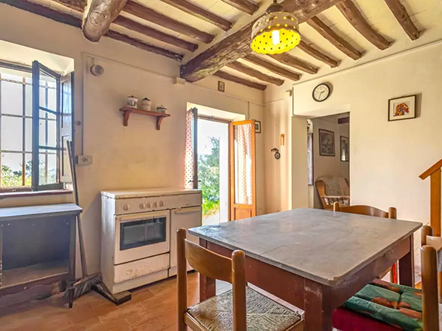 Immagine 6 di Rustico / casale in vendita  a Buti