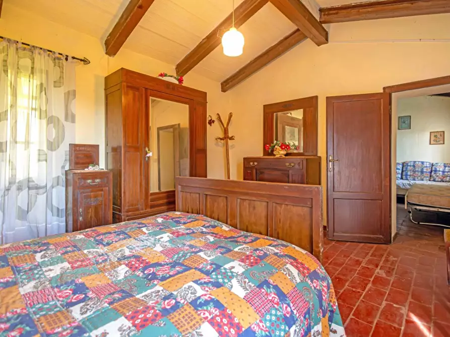 Immagine 13 di Rustico / casale in vendita  a Buti