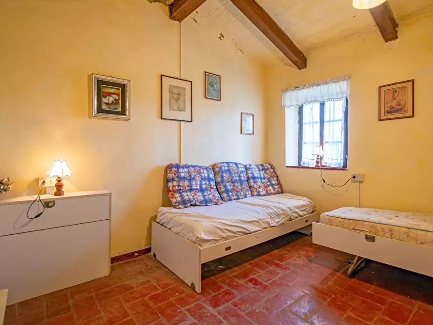 Immagine 15 di Rustico / casale in vendita  a Buti