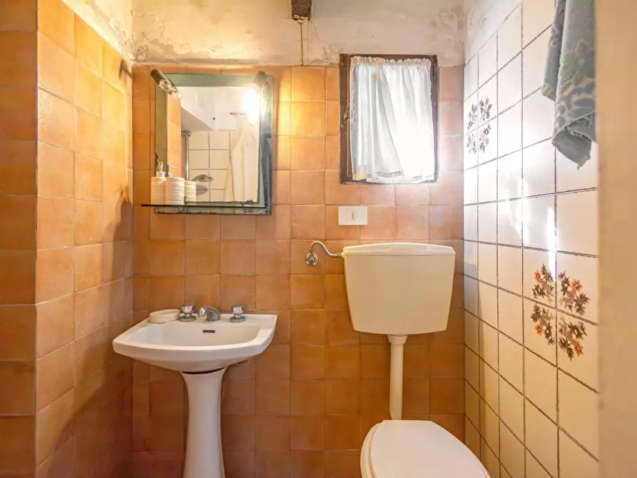 Immagine 9 di Rustico / casale in vendita  a Buti