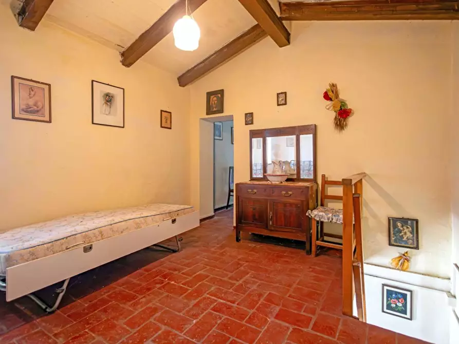 Immagine 11 di Rustico / casale in vendita  a Buti