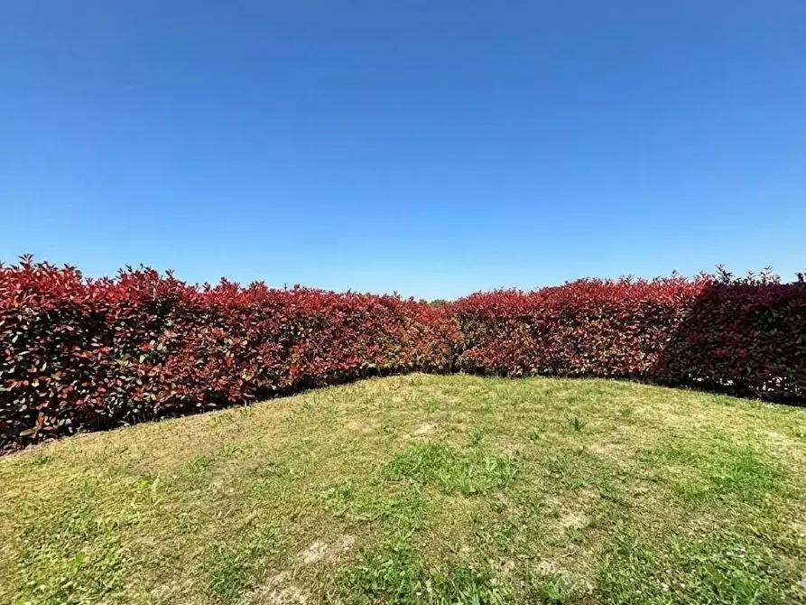 Immagine 1 di Appartamento in vendita  a Capannoli