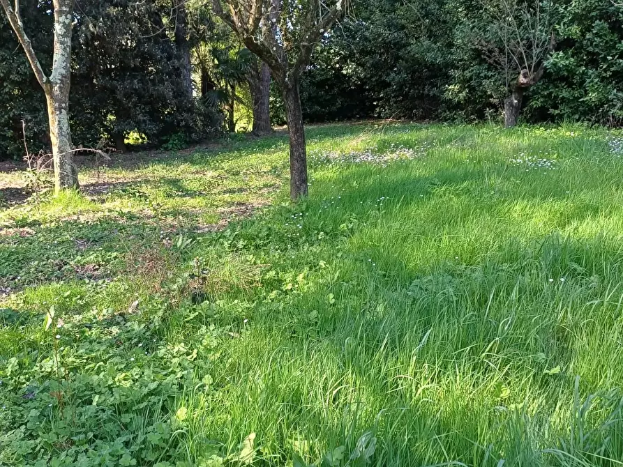 Immagine 34 di Casa indipendente in vendita  a Fucecchio