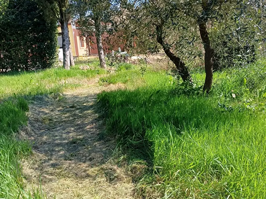 Immagine 51 di Casa indipendente in vendita  a Fucecchio