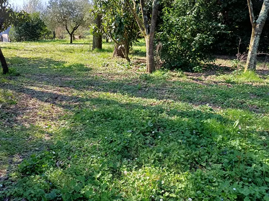 Immagine 35 di Casa indipendente in vendita  a Fucecchio