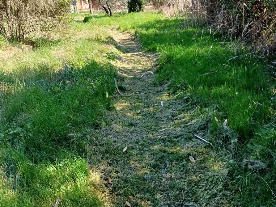 Immagine 33 di Casa indipendente in vendita  a Fucecchio