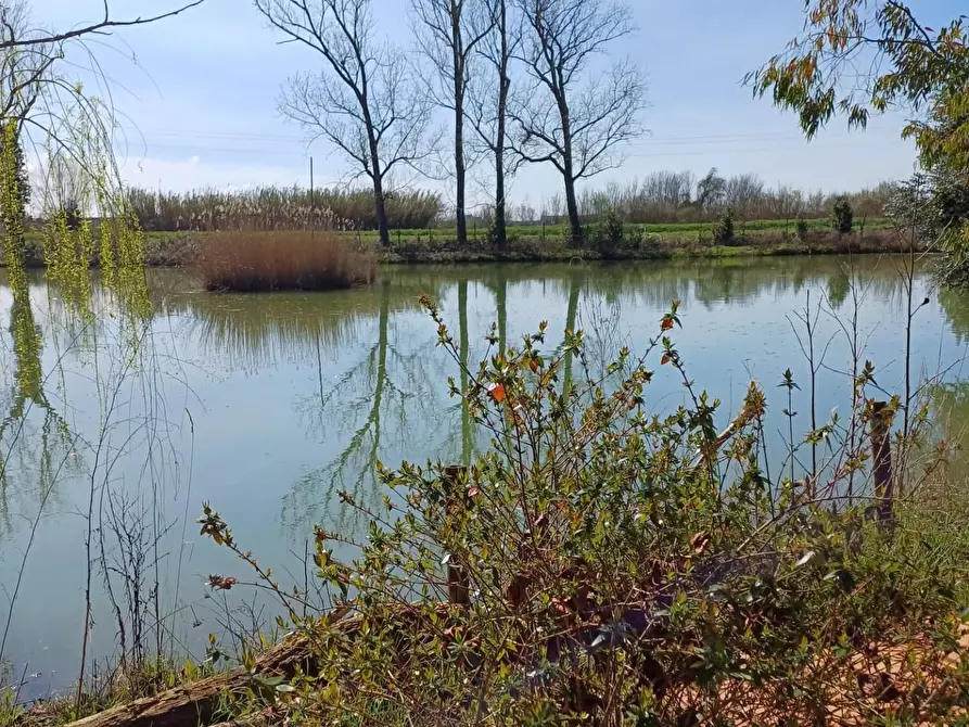 Immagine 44 di Casa indipendente in vendita  a Fucecchio