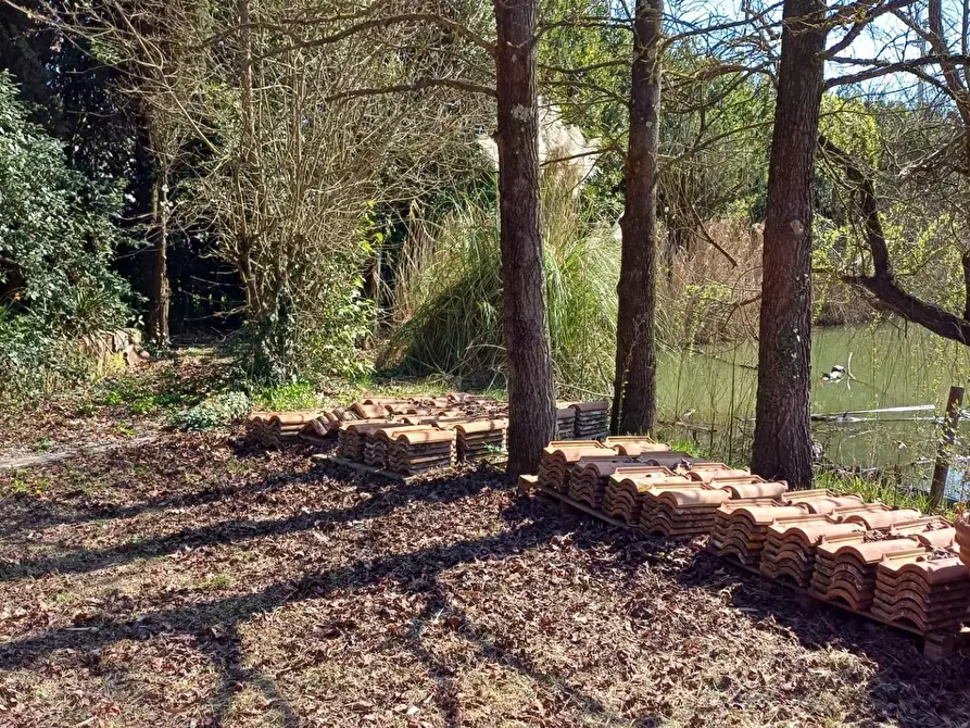 Immagine 45 di Casa indipendente in vendita  a Fucecchio