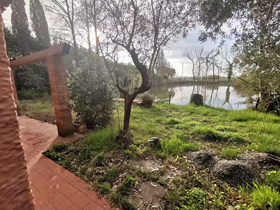 Immagine 6 di Casa indipendente in vendita  a Fucecchio