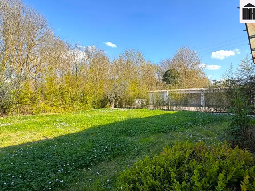 Immagine 29 di Ufficio in vendita  a Santa Croce Sull'arno