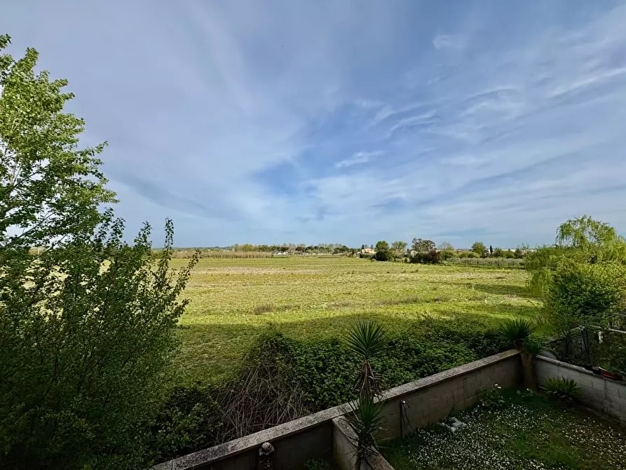 Immagine 14 di Appartamento in vendita  a Ponsacco