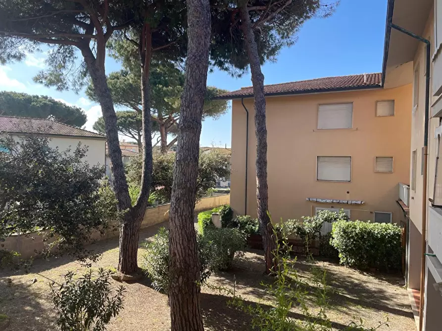 Immagine 13 di Appartamento in vendita  a Cecina