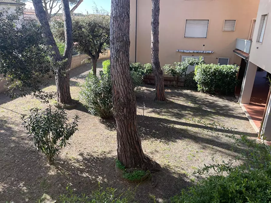 Immagine 14 di Appartamento in vendita  a Cecina