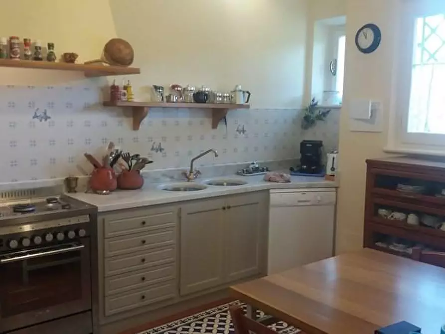 Immagine 12 di Villa in affitto  a Forte Dei Marmi