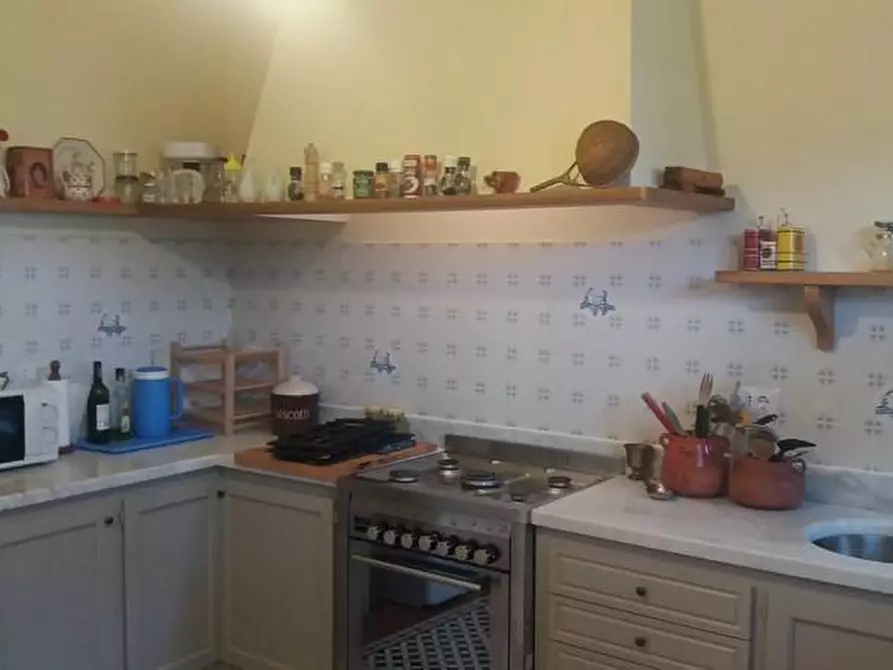 Immagine 13 di Villa in affitto  a Forte Dei Marmi