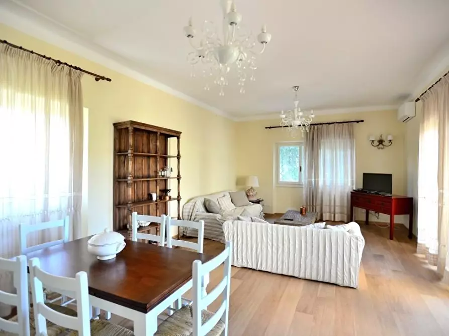 Immagine 21 di Villa in affitto  a Forte Dei Marmi