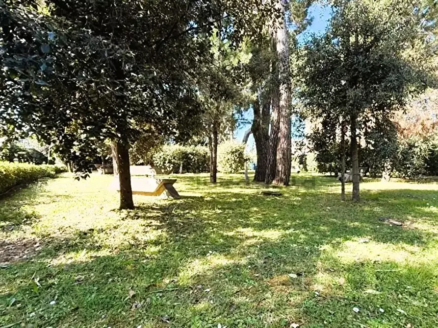 Immagine 32 di Villetta a schiera in vendita  a Massa