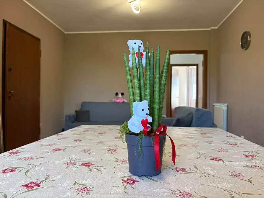 Immagine 6 di Appartamento in vendita  a Santa Croce Sull'arno