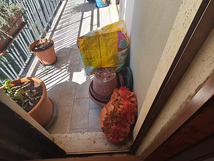 Immagine 22 di Appartamento in vendita  a Lucca