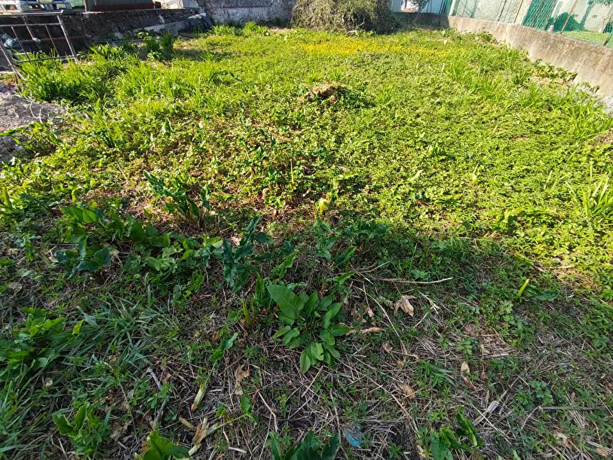 Immagine 2 di Terratetto in vendita  a Capannori