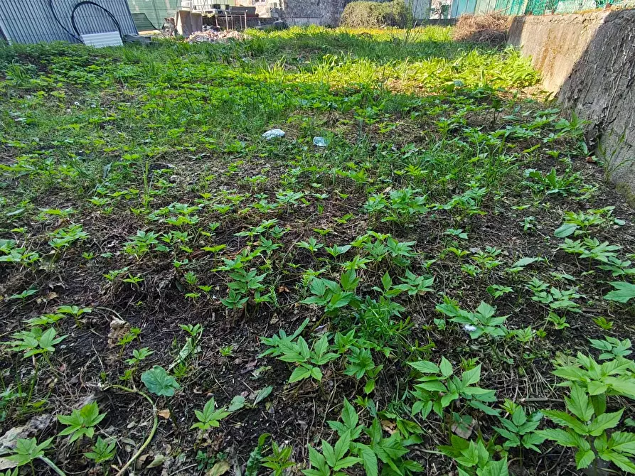 Immagine 4 di Terratetto in vendita  a Capannori