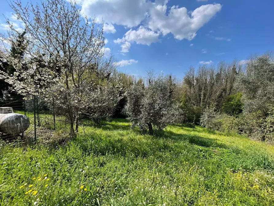 Immagine 1 di Porzione di casa in vendita  a Lamporecchio