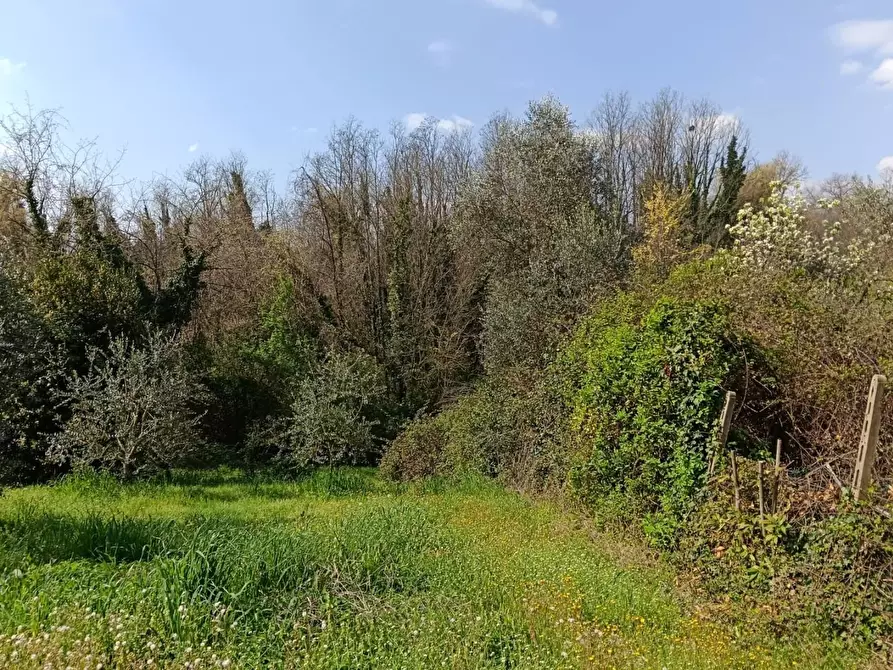Immagine 3 di Porzione di casa in vendita  a Lamporecchio